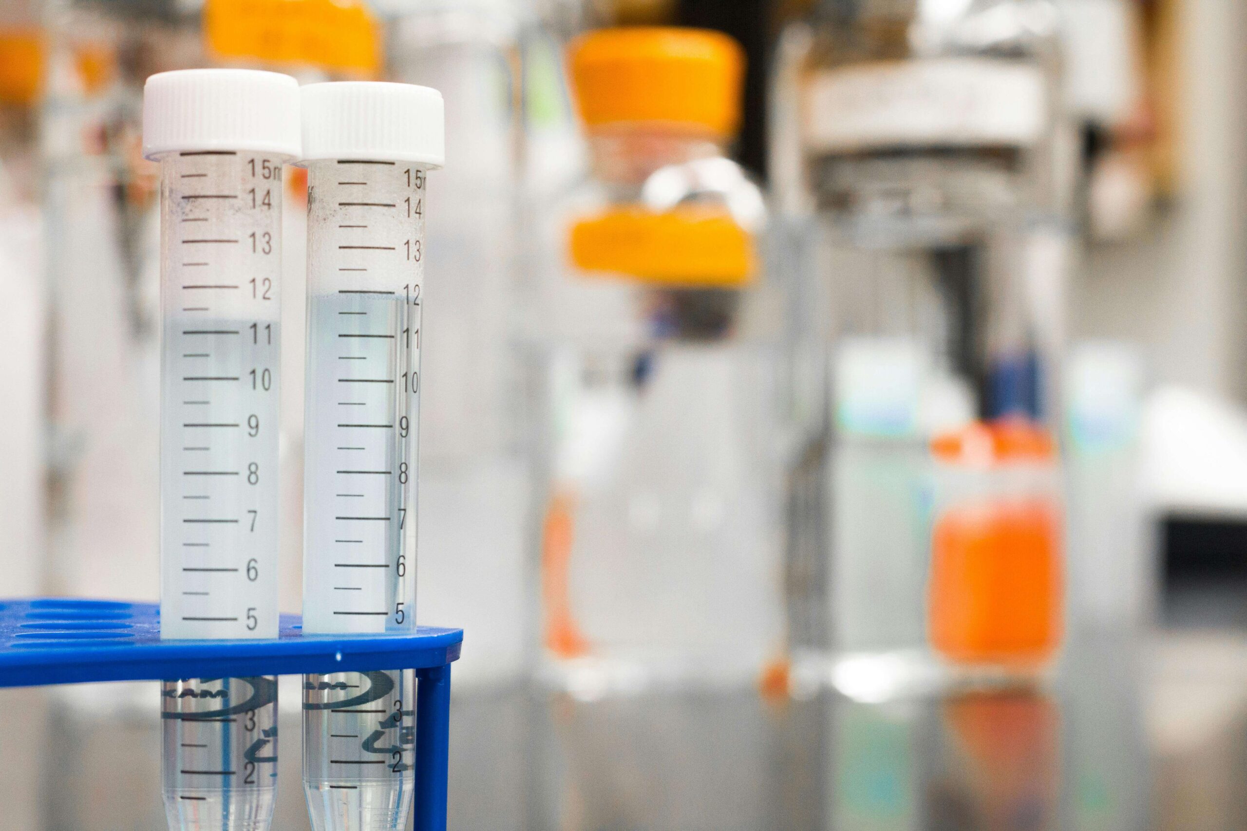 Read more about the article Where Science and Faith Meet